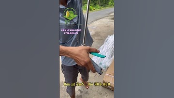 Cần xịt 2m5 ( đồng tiền sứ ) #shorts