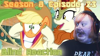 Blind Reaction - MLP: FIM S8 E23 Sounds of Silence