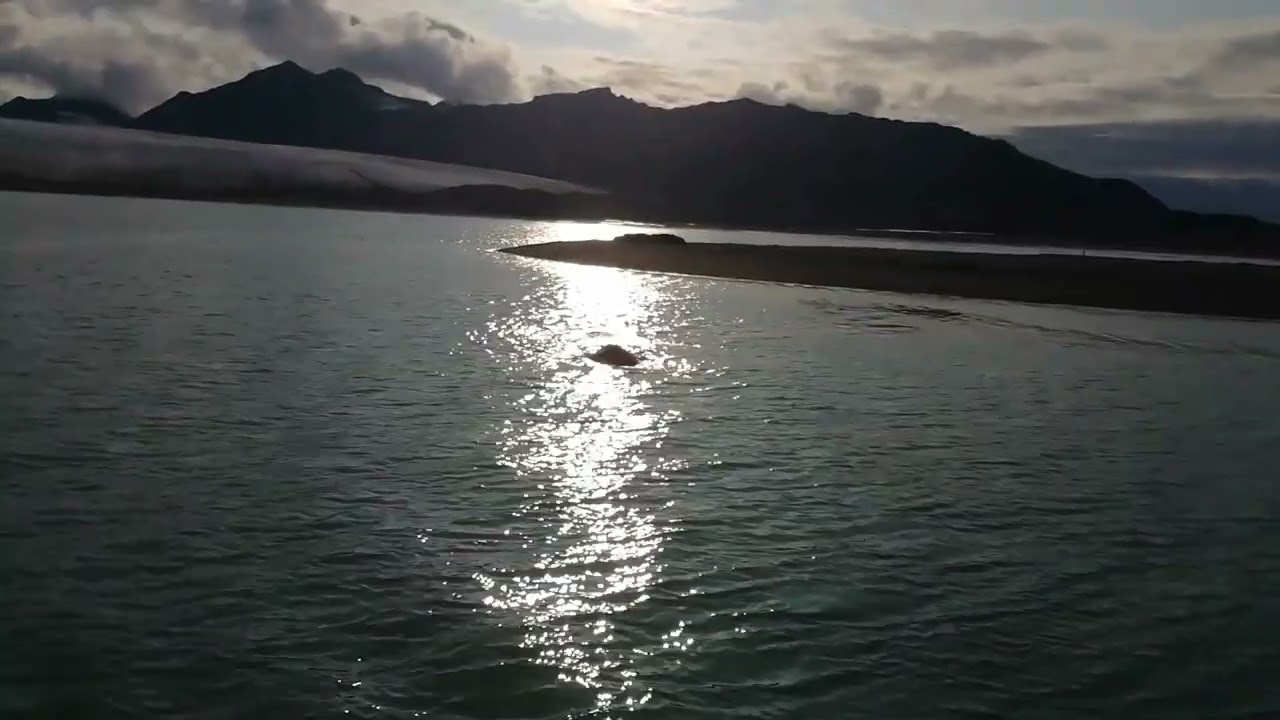 s/y Diana Laurin 32/ pożegnianie przez morsy, rejs Svalbard '25