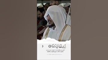 تلاوة خاشعه الشيخ هيثم الدخين