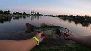Myrtle Beach Pond Bass Fishing