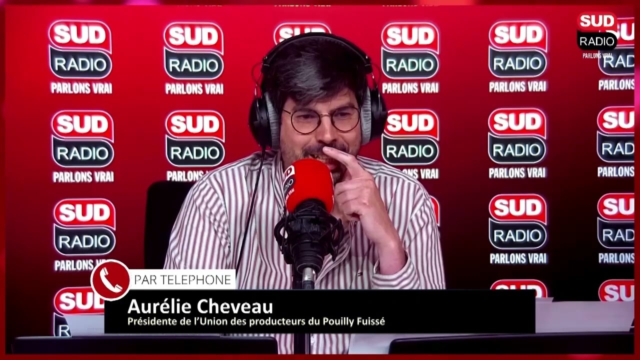 Colère des viticulteurs du Mâconnais, contraints d'utiliser des pesticides pour traiter leurs vignes