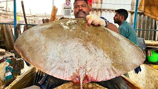 KASIMEDU 🔥 SPEED SELVAM | BUTTERFLY 🦋 RAY FISH CUTTING VIDEO | IN KASIMEDU | FF CUTTING 🔪