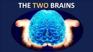 The Two Brains [Shomer Emunim Kabbalah Explainer #6/10]