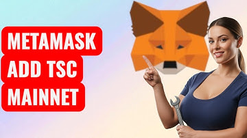 MetaMask Wallet x TSC Mainnet ADD Step by Step