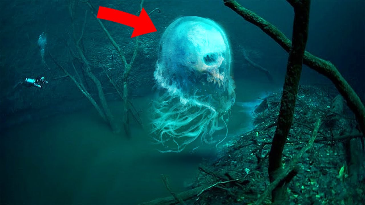10 RAREST Looking Sea Creatures