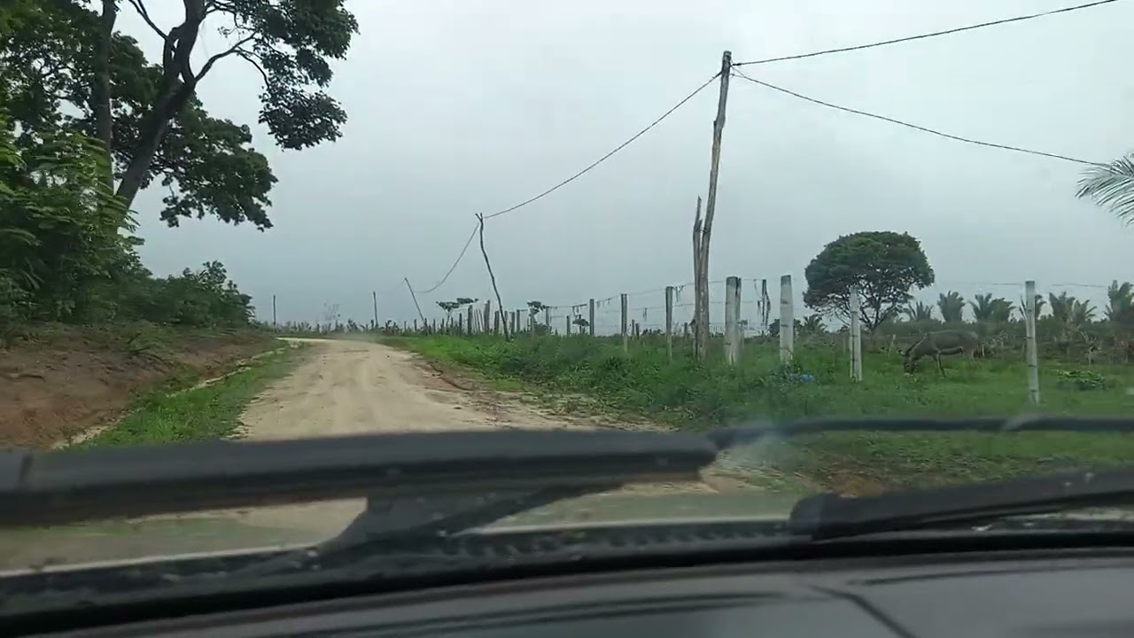 Vindo da fazenda indo pra casa em cândido Mendes Maranhão 