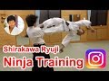 【Fantastic Aikido Master】 Shirakawa Ryuji shihan - Special Ninja techniques