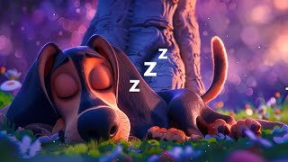 Relaxing Music To Calm The Mind Music For Deep Sleep Sleeping Music For Deep Sleeping