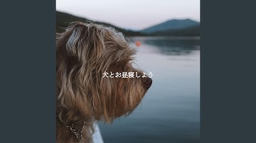 Pulsating Ambiance for A Calm Hound