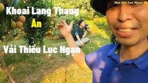 Cùng Kênh Youtube Khoai Lang Thang Trải Nghiệm Ăn Vải Thiều Lục Ngạn I Núi Đồi Lục Ngạn