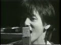 REV   抱きしめたい 1993 REV/Dakishime-Tai