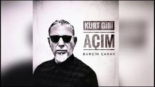 Burçin Çakar - Bu Gece Ayaz  Resimi