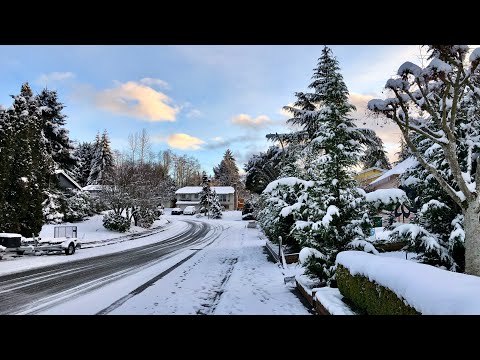 Video: Seattle Is Niet Grijs In De Winter. Hier 