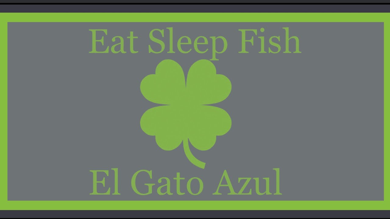 April Blue Catfish Lake Lewisville YouTube