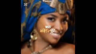 Soft DJ - Waze Wamuhle (3 step Bootleg)[Official Audio]