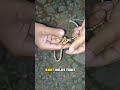 Genius Way to Hang Heavy Loads!