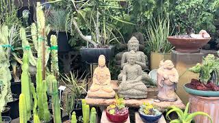 Let s Tour California Cactus Center A Succulent Cacti Lover s Paradise