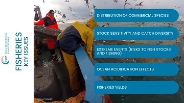 MCCIP 2023 Fisheries