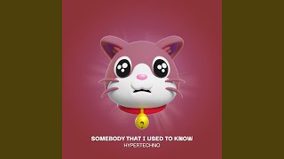 SOMEBODY THAT I USED TO KNOW (HYPERTECHNO) - HYPERCAT, MR CAT
