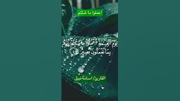 اعملوا ما شئتم / سورة فصلت القارئ اسامة نبيل