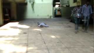 Multi Brain Productions-Die.........