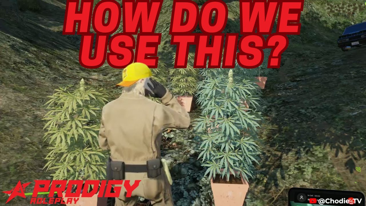 The Search For A Grinder Begins (Stocking Up Buds Now) l Prodigy 2.0 l