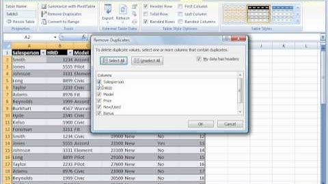 Excel 2007 Tutorial 8: Working with tables