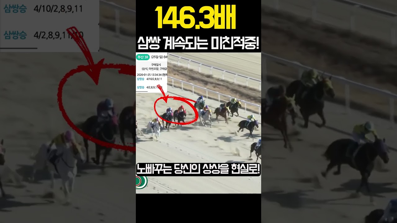 146.3배 이번엔 삼쌍 거짓말 같은 노빠꾸의 미친적중! | 260125(일)부경3 #경마 #경마재택크 #경마적중 #shorts #고배당  #KoreaHorseRacing #쇼츠