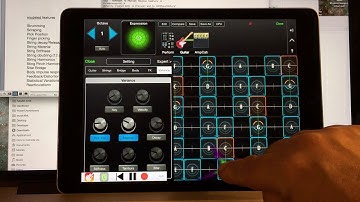 Features of the moForte Physical Model for String Instruments