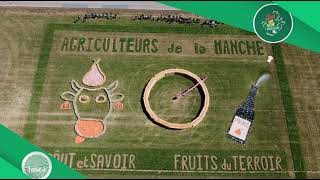 Fdsea De La Manche - Fresque Tour De France 2025