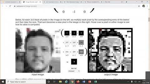 Minds as Machines / Methods in Complex Systems 1/28/2021
