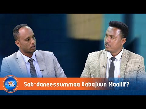 Marabbaa Sabdanessummaan Bu Uura Badhaadhina Biyyaati Buzaayyoo Dagafaa PhD