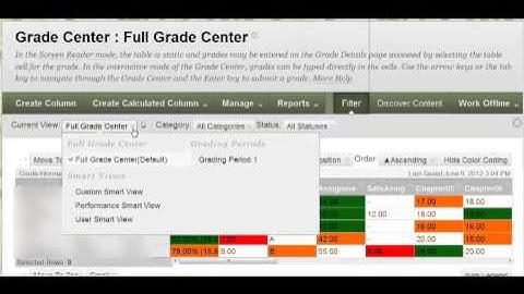 Blackboard 9.1.13: Set Smartview to Default Grade Center View