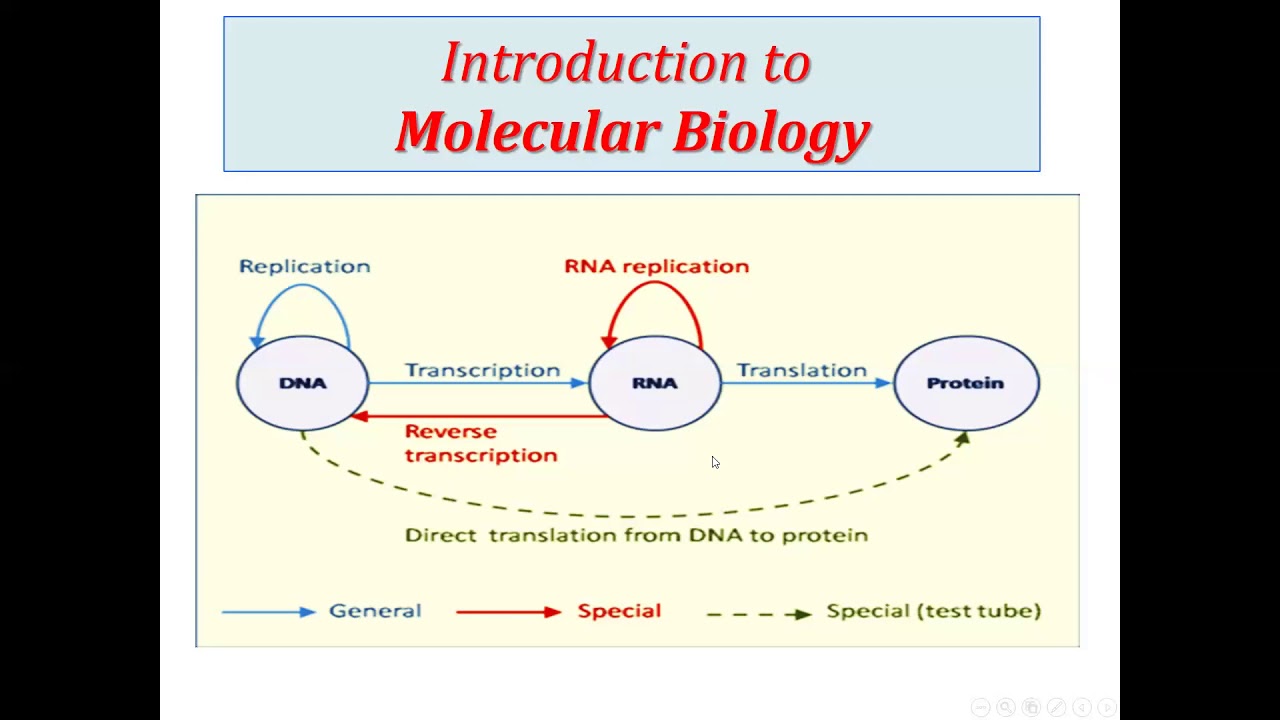 Biochemistry mid two tutorial - YouTube
