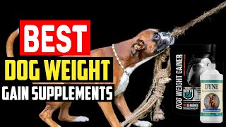 Top 5 Best Dog Weight Gain Supplements in 2023