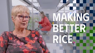 Making Better Rice: The Quest To Feed The World By Hacking Plant Evolution