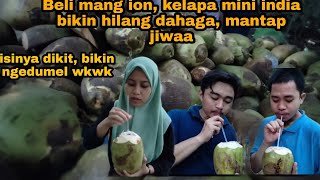 KELAPA MINI INDIA 🇮🇳❗ BELI MANG ION SETELAH OLAHRAGA❗