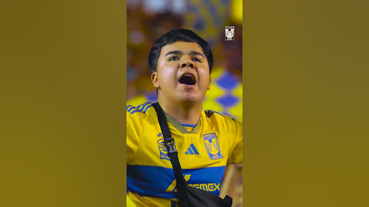 Así se vive un partido en el Estadio de Tigres 🏟️🐯 ¿Es el Estadio más pasional de México?