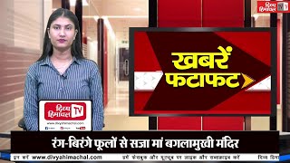 दिव्य हिमाचल ख़बरें फटाफट