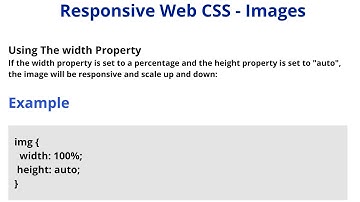 Responsive Image CSS | CSS Responsive Images Tutorial: How to Make Images Responsive in CSS? #120