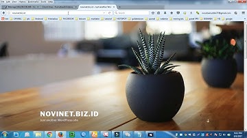 Cara Install Wordpress Multisite di VPS Easyengine + Subdirektori