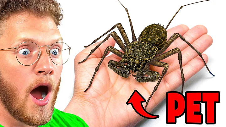 He Adopted a Pet Alien (sort of)