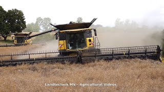 New Holland - Fendt / Rapsernte - Canola Harvest  2020