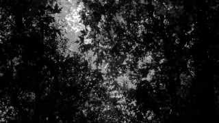 Paulina Żuchowska - I am the Answer