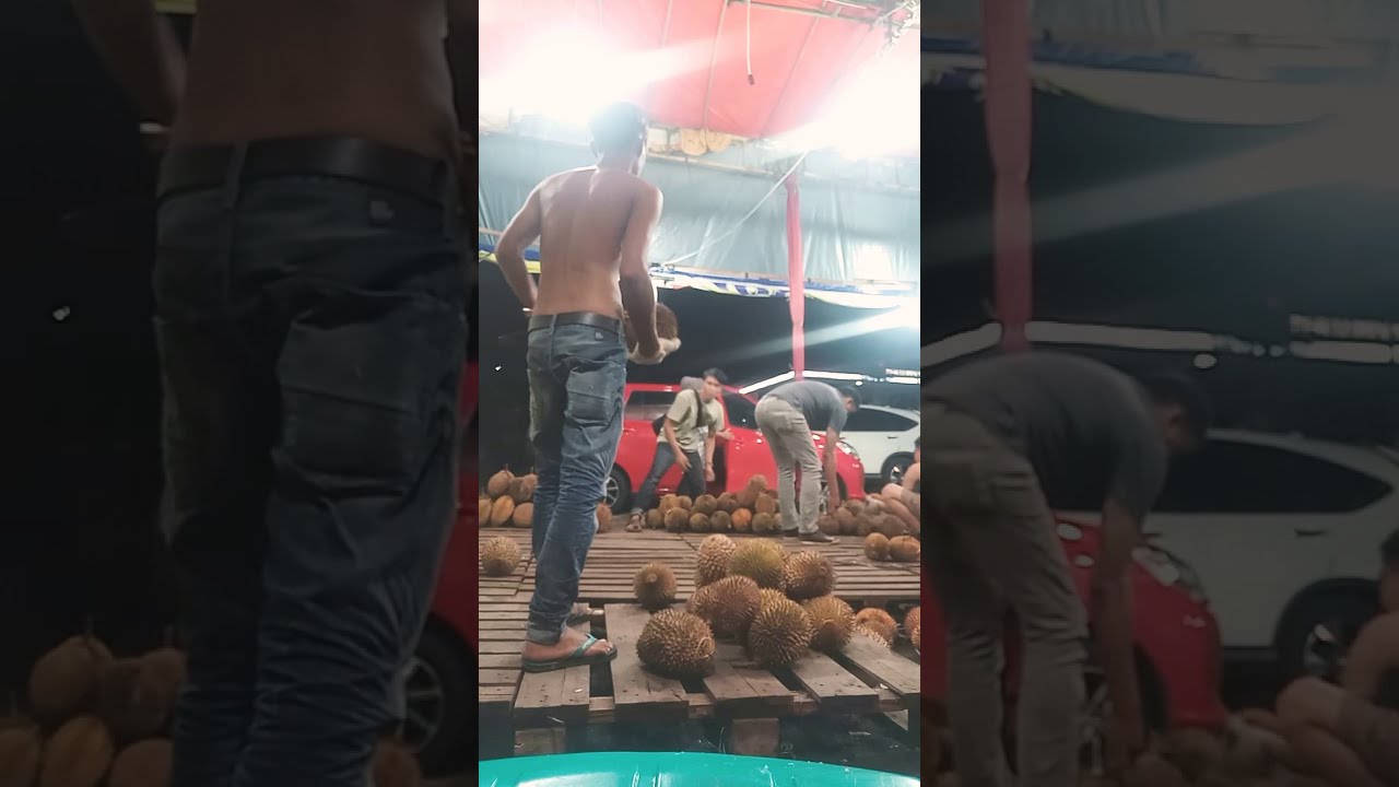  DURIAN  MUARA  ENIM  BUKAN KALENG KALENG YouTube