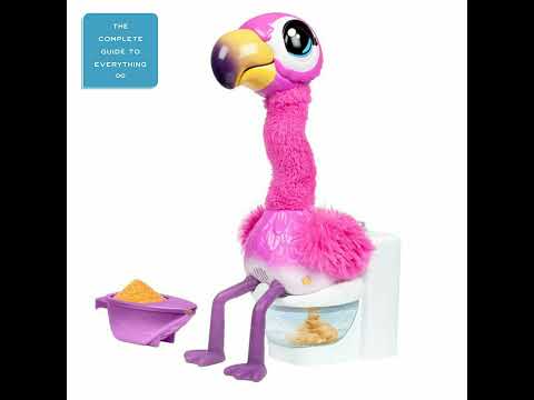 Top Toys of 2020
