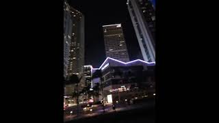 Miami Boat Tours #Shorts