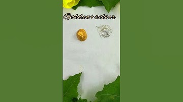 golden + silver, colour mixing process, #colormixing #art #satisfying #viralvideo  #shortsfeed #art