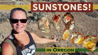 Sunstones in Oregon! Finding Precious Gemstones Rockhounding in the Oregon Desert #thefinders